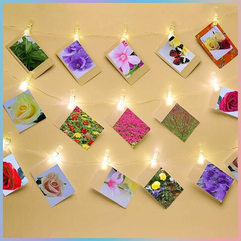 Mini Clear Photo Clips 100pcs, Plastic Photo Clips Photo Clips Cute Plastic Clips for Crafts, Gift Wrapping, Picture Hanging, Photo Display (transparent) in Saudi Arabia