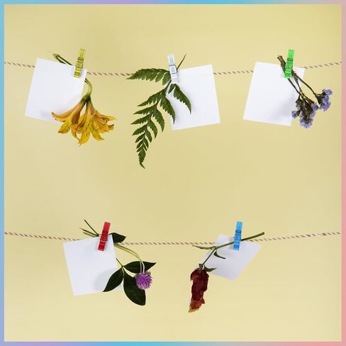 Mini Clear Photo Clips 100pcs, Plastic Photo Clips Photo Clips Cute Plastic Clips for Crafts, Gift Wrapping, Picture Hanging, Photo Display (transparent) in Saudi Arabia