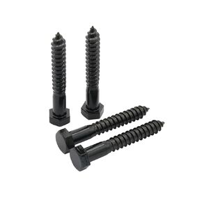 LBY 5pcs 1/2" x 3-1/2" Lag Screws, Hex Head Lag Screws Bolts, Wood Screws, 304 Stainless Steel, (Black)