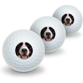 GRAPHICS & MORE Bernese Mountain Dog Face Closeup Novelty Golf Balls 3 Pack