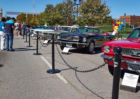 Mr. Chain Heavy Duty Plastic Barrier Chain, Black, 2-Inch Link Diameter, 25-Foot Length (51003-25) in Kuwait