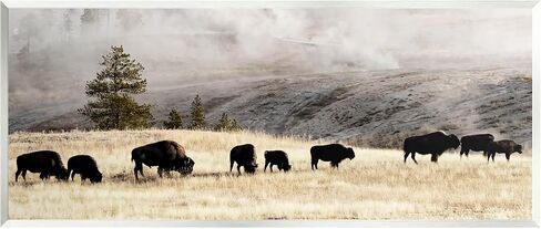 لوحة فنية جدارية خشبية من Stupell Industries Grazing Bison Rural Country Fog، من تصميم Danita Delimont in Saudi Arabia