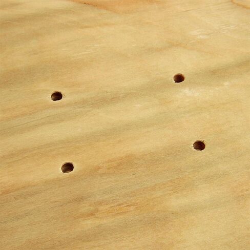 ألواح تزلج فارغة من NPET DIY مقاس 8.0 بوصات و8.25 بوصات و7.75 بوصات in Kuwait