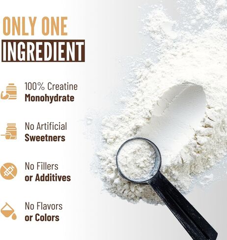 B.rad Micronized 100% Creatine Monohydrate Powder, Unflavored | Muscle Strength & Recovery | Brain Health | #1 Performance Supplement | 10.8 Ounces, 30 Servings in Saudi Arabia