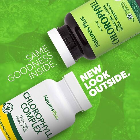 Natures Plus Chlorophyll Complex - 90 Vegetarian Capsules - Nutritional Support for General Well-Being - Vegan - 45 Servings in Saudi Arabia