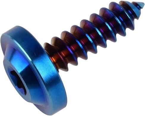 Titanium M4 M5 15 17 20mm Self Tapping Screw Torx Head Motorcycle Bolt Pack of 4 (M5x20mm, Burnt Blue) in Saudi Arabia