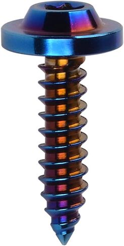 Titanium M4 M5 15 17 20mm Self Tapping Screw Torx Head Motorcycle Bolt Pack of 4 (M5x20mm, Burnt Blue) in Saudi Arabia
