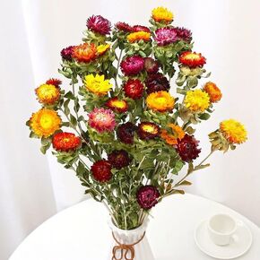 Natural Dried Flower Bouquet, Natural Flower Bouquet Daisy. Dried Daisies, Household Items, DYI Flower Arrangement, 18-22 Flower Heads (Natural Color) Daisies and Chrysanthemums for Home Decor