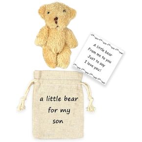 LUOKIFUR Pocket Bear Bear Hug Long-Distance Teddy Bear I Love You Gift Encouragement Gifts (Son)