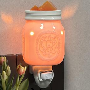 Plug in Wax Warmer，Candle Wax Warmer for Scented Wax melt Warmer，Electric Wax Burner as Gifts for Mom Grandma Women(Hummingbird Pattern)…
