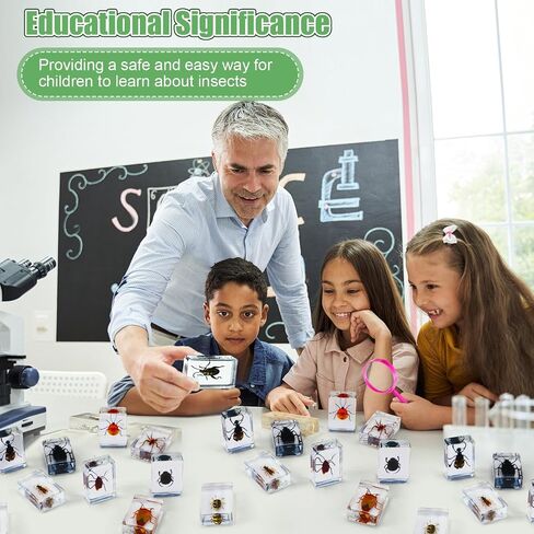 36 Pcs Insect in Resin Specimen Bugs Discovery Kit Collection Paperweight Bug with Information Flash Cards Preserved in Resin with 3 Magnifier for Scientific Educational Display Supplies in Saudi Arabia