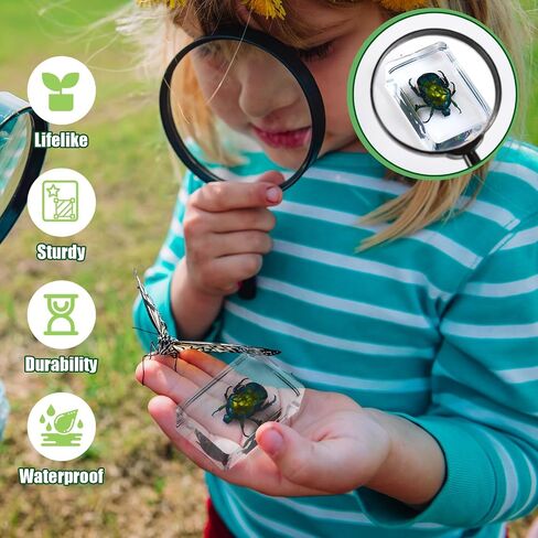 36 Pcs Insect in Resin Specimen Bugs Discovery Kit Collection Paperweight Bug with Information Flash Cards Preserved in Resin with 3 Magnifier for Scientific Educational Display Supplies in Saudi Arabia