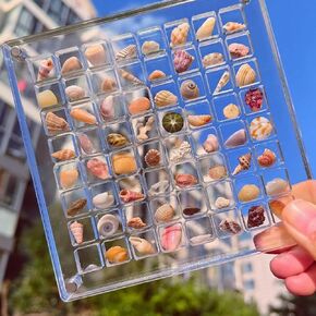 Seashell Display Box, Acrylic Magnetic Seashell Display Case, Square 36 cells Acrylic Organizer Box Stackable, Small Craft Organizers, Compartment Container for Nails