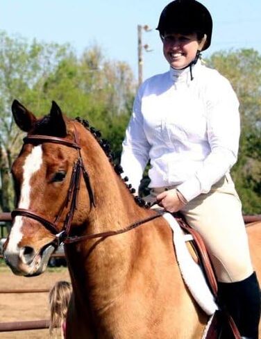 Derby Originals Paris Tack Padded Raised Fancy Stitched Leather English Schooling Bridle with Laced Reins in Saudi Arabia