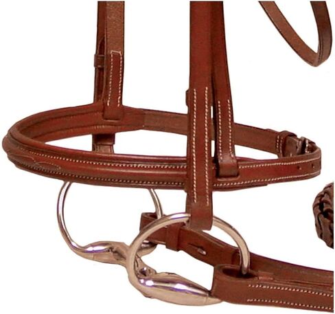 Derby Originals Paris Tack Padded Raised Fancy Stitched Leather English Schooling Bridle with Laced Reins in Saudi Arabia