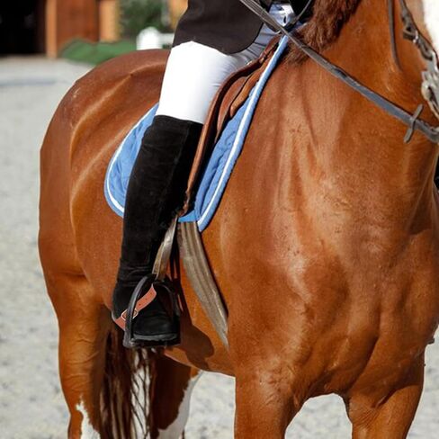 4 قطع من الأشرطة الجلدية البنية، حزام تحفيزي فردي من الجلد المتين، أشرطة تمهيد قابلة للتعديل، معدات الفروسية الخارجية للنساء الغربيات والرجال لركوب الخيل in Kuwait