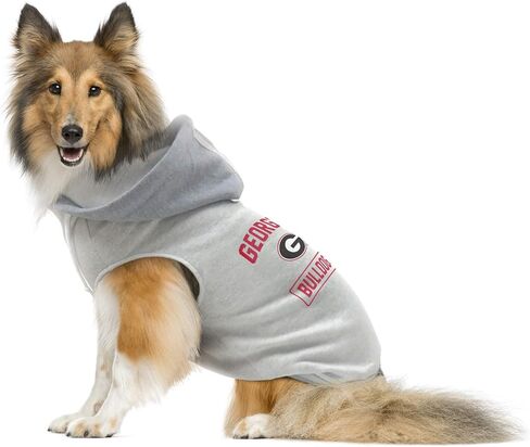 NCAA Unisex-Adult Pet Hooded Crewneck in Saudi Arabia