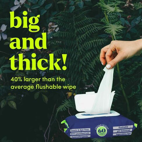 Goodwipes Flushable Butt Wipes, Cedar Scent with Botanicals, Dispenser for At-Home Use, with Aloe, Septic and Sewer Safe & Never Dries Out (60 Count) in Saudi Arabia