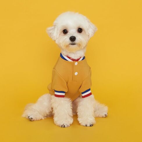 FLOT Designer Dog Shirt with Buttons Premium Materials Tailored Fit Luxury Sweater Designed and Made in Korea (Yellow) Small in Saudi Arabia