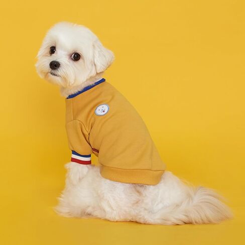 FLOT Designer Dog Shirt with Buttons Premium Materials Tailored Fit Luxury Sweater Designed and Made in Korea (Yellow) Small in Saudi Arabia