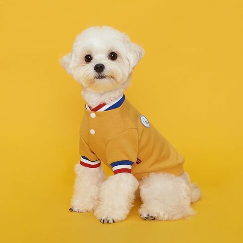 FLOT Designer Dog Shirt with Buttons Premium Materials Tailored Fit Luxury Sweater Designed and Made in Korea (Yellow) Small in Saudi Arabia