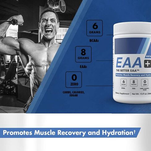Modern EAA+ Hydration | EAAs + BCAAs Powder | Muscle Recovery, Strength, Endurance & Hydration | 8g Essential Amino Acids + 6g Branched Chain Amino Acids | 30 Servings (Blue Raspberry) in Saudi Arabia