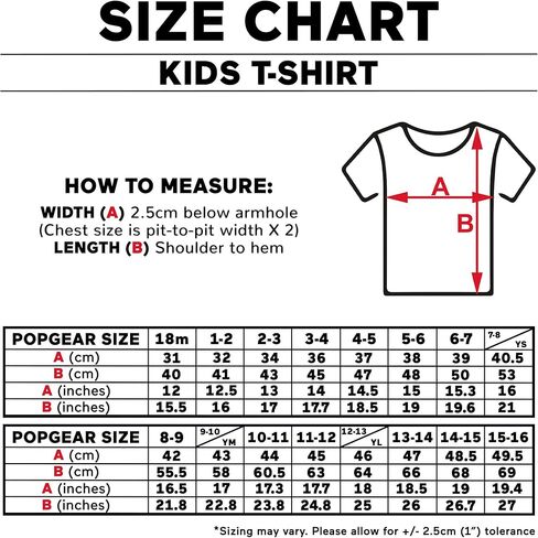 Popgear Boy's Dc Comics the Flash Distressed Logo Boys T-shirt fashion-t-shirts (pack of 1) in Kuwait