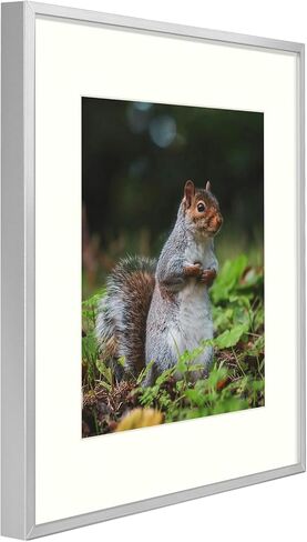 Golden State Art, A1 Aluminum Black Photo Frame with Plexiglass - Swivel Tabs, Sawtooth Hangers, Spring Clips - Metal Wall Poster Frame Collection (3 Pack) in Saudi Arabia