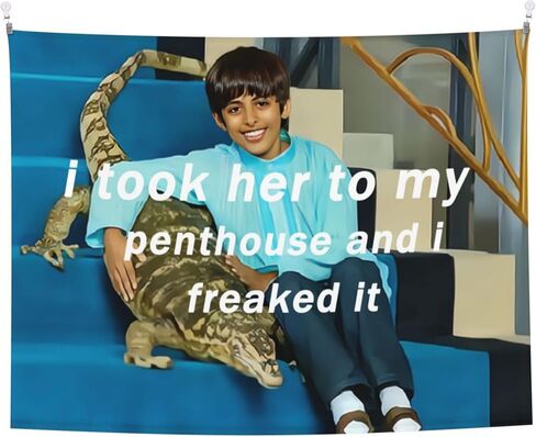 HYYCCUE أخذتها إلى بنتهاوس رافي نسيج رافي Freaked It نسيج أساسي للكلية وغرفة النوم وغرفة النوم وغرفة المعيشة ونسيج جمالي معلق 29 بوصة × 37 بوصة in Saudi Arabia