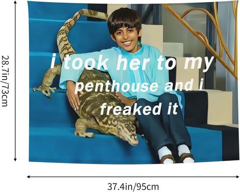 HYYCCUE أخذتها إلى بنتهاوس رافي نسيج رافي Freaked It نسيج أساسي للكلية وغرفة النوم وغرفة النوم وغرفة المعيشة ونسيج جمالي معلق 29 بوصة × 37 بوصة in Saudi Arabia