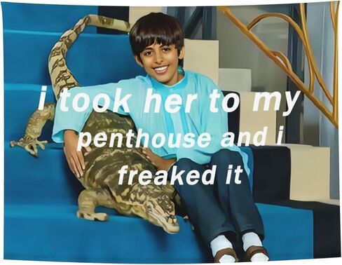 HYYCCUE أخذتها إلى بنتهاوس رافي نسيج رافي Freaked It نسيج أساسي للكلية وغرفة النوم وغرفة النوم وغرفة المعيشة ونسيج جمالي معلق 29 بوصة × 37 بوصة in Saudi Arabia