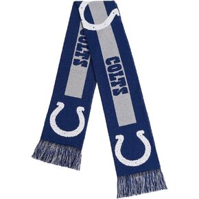 FOCO NFL unisex-adult 2016 Big Logo Scarf