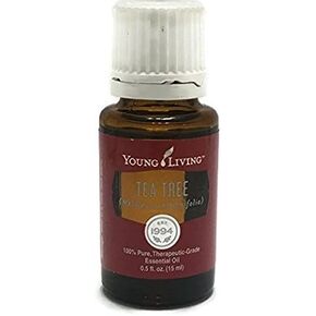 Young Living Essential Oils ~ Tea Tree (Melaleuca Alternifolia) 15ml 100% Pure Theraputic Grade in Saudi Arabia