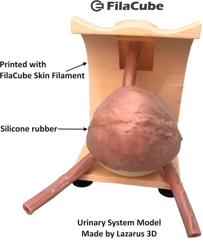 Skin/Flesh PLA 3D Printer 1.75mm Filament 1kg - FilaCube PLA 2 Light skin color tone 1.75 mm 1 kg 3D Printing plastic filament supply for human organ model body girl toy epidermis [Made in USA] in Saudi Arabia