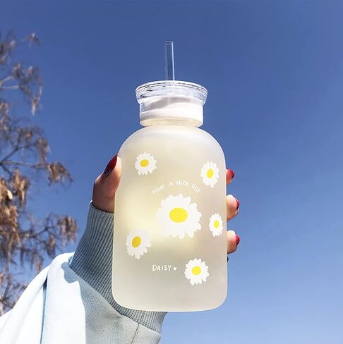 480ml Milk Juice Cute Water Bottle with Scale 2 Lids Little daisy Matte Portable Transparent Water Cup Glass Bottles Creative Handy Cup (1Pcs Six Flowers) in Saudi Arabia