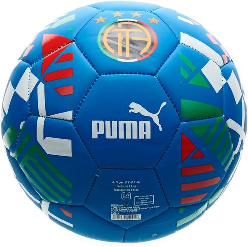 PUMA FTBLCore Fan Ball in Saudi Arabia