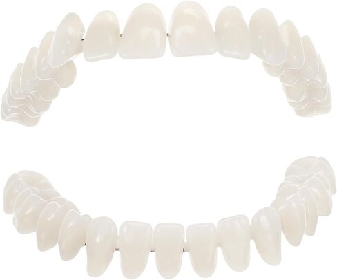 SOLUSTRE Teeth 3D Model 1 Set Model Dental Models for Students Human Teeth Model Dental Training Models Models Dental Display Models Fake Teeth Model Dedicated 3D False Teeth Model in Saudi Arabia