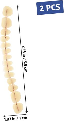 SOLUSTRE Teeth 3D Model 1 Set Model Dental Models for Students Human Teeth Model Dental Training Models Models Dental Display Models Fake Teeth Model Dedicated 3D False Teeth Model in Saudi Arabia