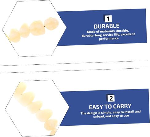 SOLUSTRE Teeth 3D Model 1 Set Model Dental Models for Students Human Teeth Model Dental Training Models Models Dental Display Models Fake Teeth Model Dedicated 3D False Teeth Model in Saudi Arabia