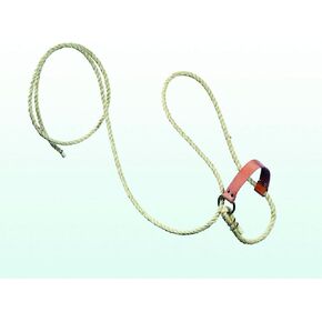 Halter with Lead and Leather Nose Strap