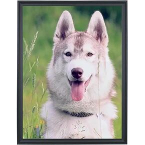 19x24 Picture Frames Solid Wood 19x24 Photo Frame 19x24 Poster Frames 19x24 Diamond Painting Frames Black (L23B1924)