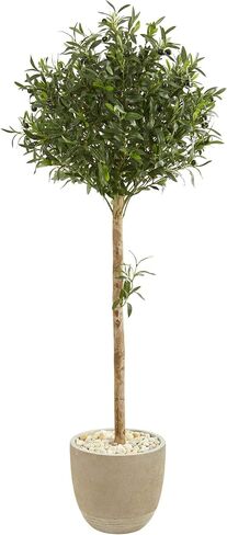 Nearly Natural 5-Ft. Olive Topiary Artificial Sand Stone Planter Silk Trees, Green in Saudi Arabia