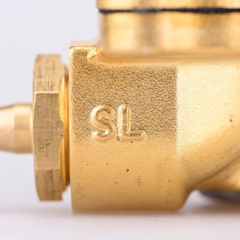 1/2 NPT 110V AC 2 Position 2 Way صمام الملف اللولبي الكهربائي النحاسي المغلق عادة للمياه والهواء والديزل 2W160-15 in Kuwait