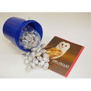 Bargain Bucket, 100 Small Owl Pellets with Teachers Guide and Bone Sorting Sheets