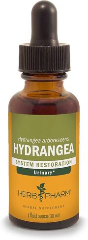 Herb Pharm Hydrangea Liquid Extract for Urinary System Support, 1 Fl Oz in Saudi Arabia