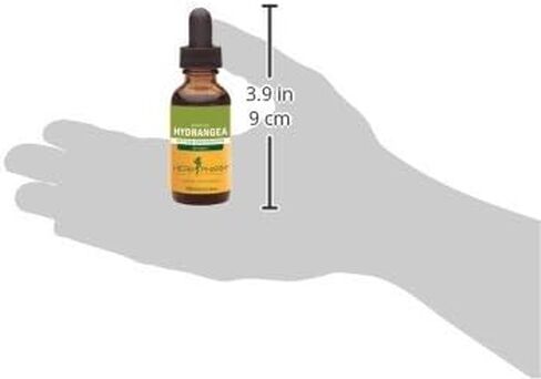 Herb Pharm Hydrangea Liquid Extract for Urinary System Support, 1 Fl Oz in Saudi Arabia