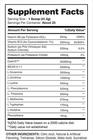 Rehab High Performance Intraworkout Formula 10g BCAA & EAA – Carb10 | Enhance Recovery & Hydration | Keto Friendly | 25 Servings (Blueberry Lemonade, 25 Serving) in Saudi Arabia