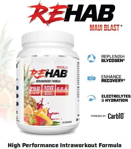 Rehab High Performance Intraworkout Formula 10g BCAA & EAA – Carb10 | Enhance Recovery & Hydration | Keto Friendly | 25 Servings (Blueberry Lemonade, 25 Serving) in Saudi Arabia