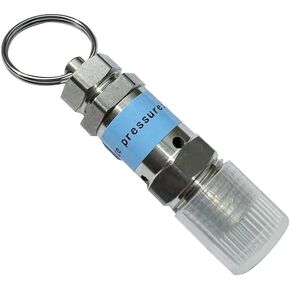 Stainless Steel 304 Safety Relief Valve, 1/4" NPT Male, 7.5 PSI Set Pressure, 1pc