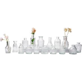 Glass Bud Vase Set of 16, Small Flower Vases, Glass Vases for Centerpieces, Vintage Home Table Decorations Bud Vases (16 Pcs, Clear)